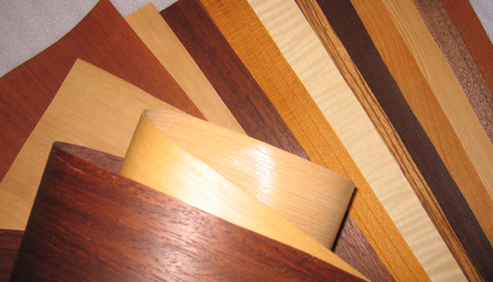 Veneer wood samples